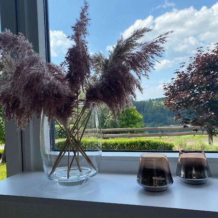 Ferienwohnung Allenberg-Panorama Winterberg Dış mekan fotoğraf